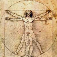 Vitruvian Man by Leonardo da Vinci